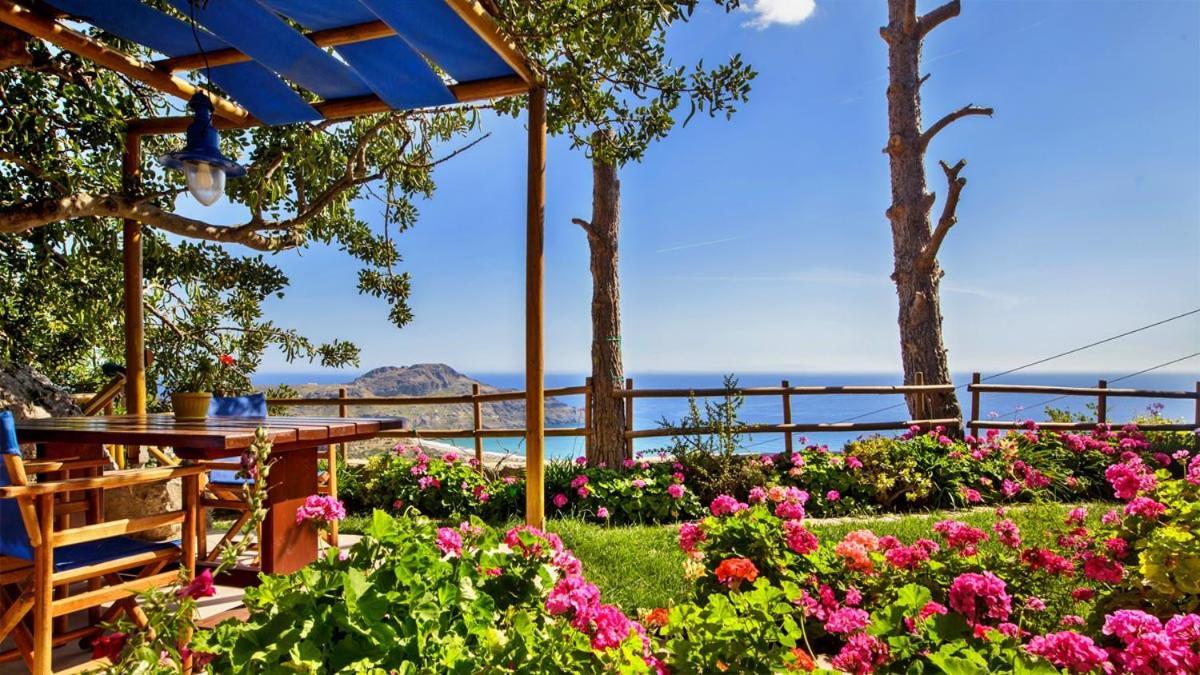 Mirthios-Hill Apartments Plakias Dış mekan fotoğraf