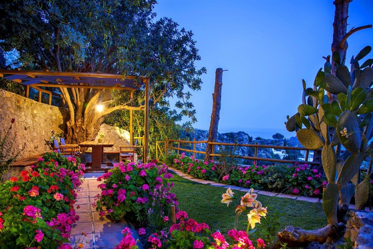 Mirthios-Hill Apartments Plakias Dış mekan fotoğraf
