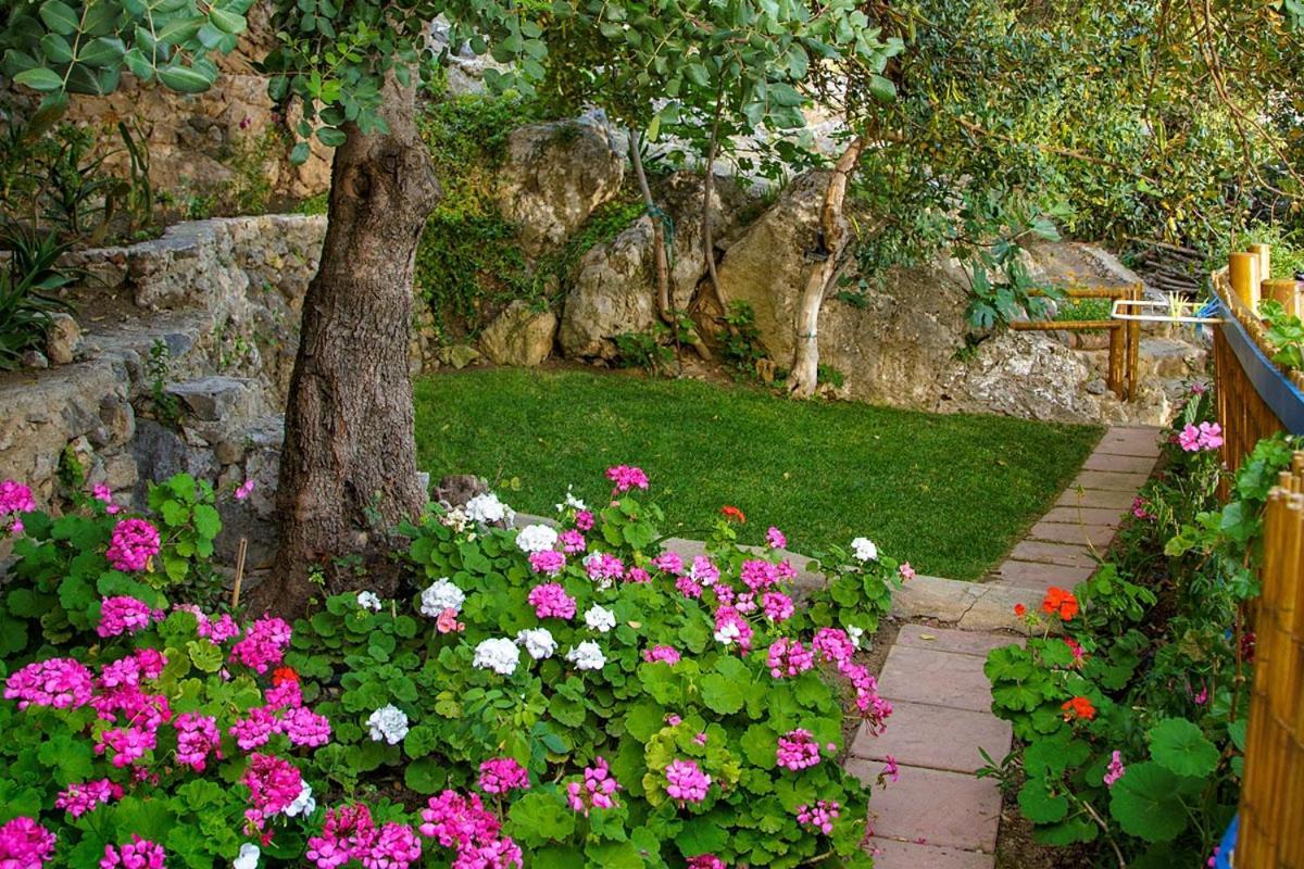 Mirthios-Hill Apartments Plakias Dış mekan fotoğraf